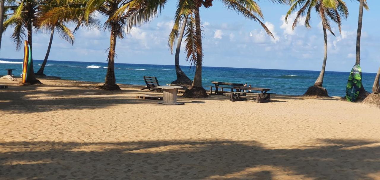 Puntacana Ecolodge Lavacama Beach Costa Arrecife By Aa Crypto Group Пунта-Кана Экстерьер фото