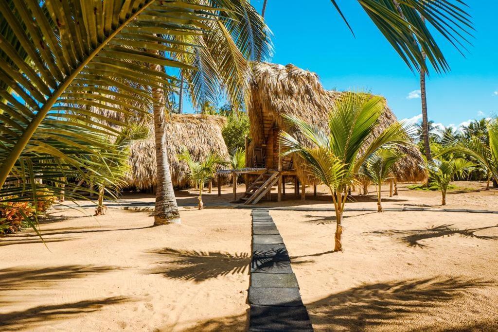 Puntacana Ecolodge Lavacama Beach Costa Arrecife By Aa Crypto Group Пунта-Кана Экстерьер фото
